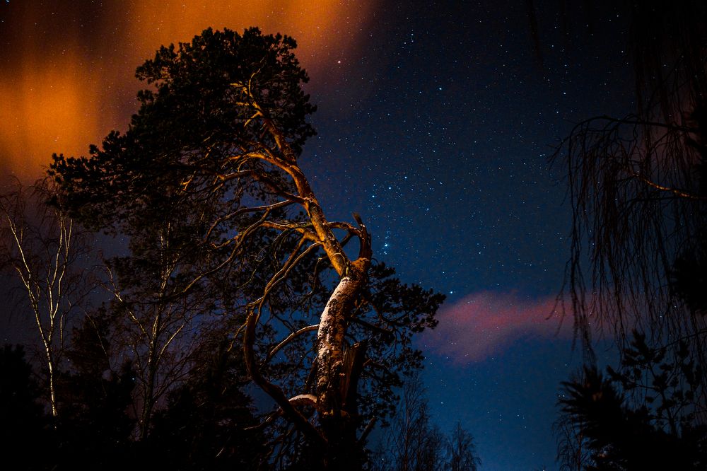 Photograph by Антон Парфентьев