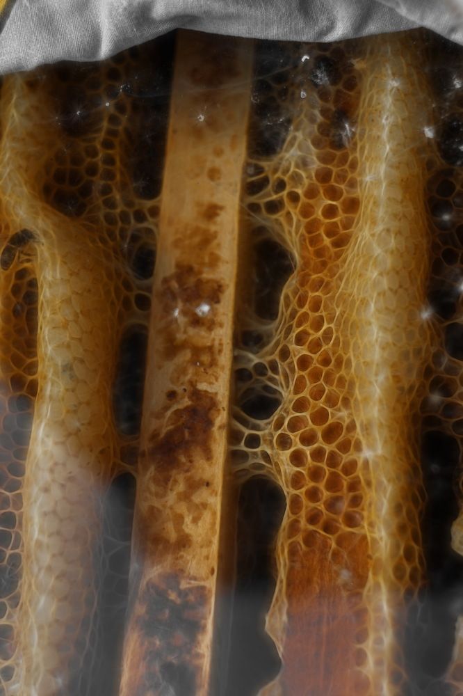 Photograph by Svoboda Andreeva