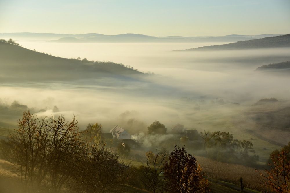 Фотография автора Marius Forgaciu
