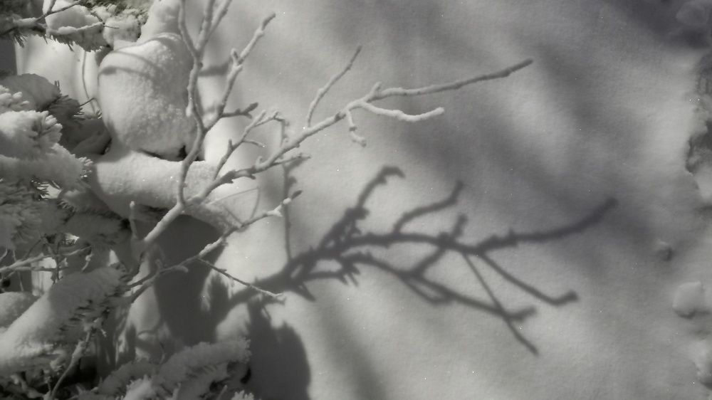 Фотография автора Евгения Зайцева