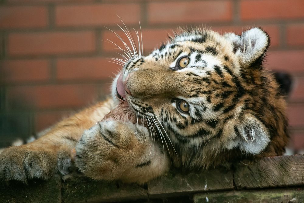 Photograph by Анна Орлова