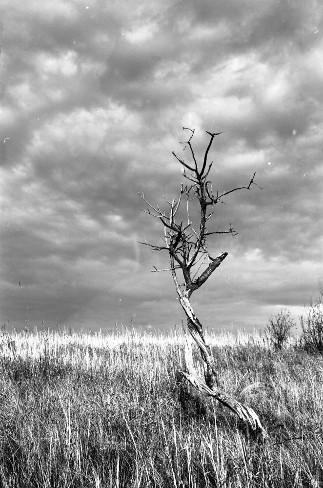 Photograph by Максим Покидышев