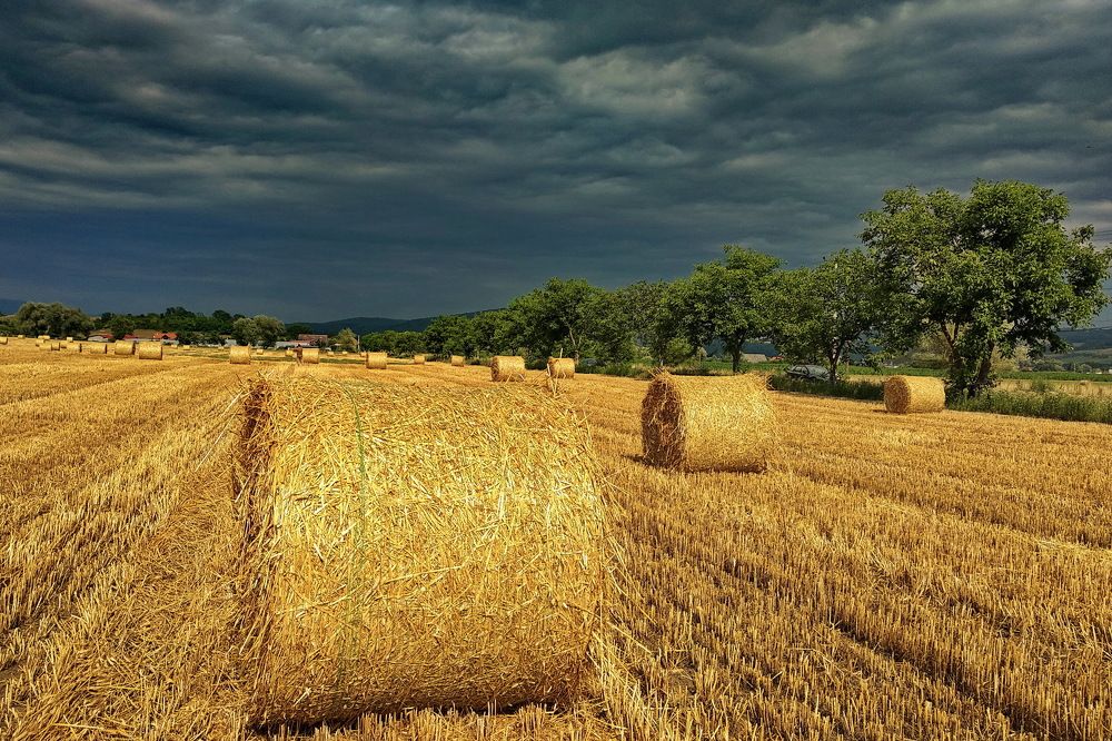 Фотография автора Marius Forgaciu