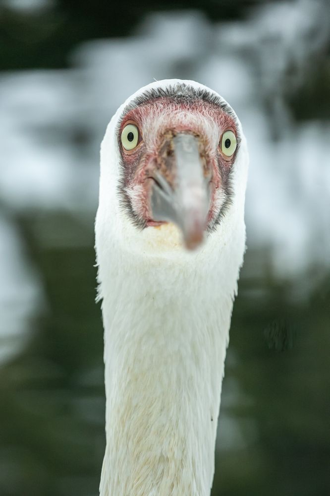 Photograph by Анна Орлова