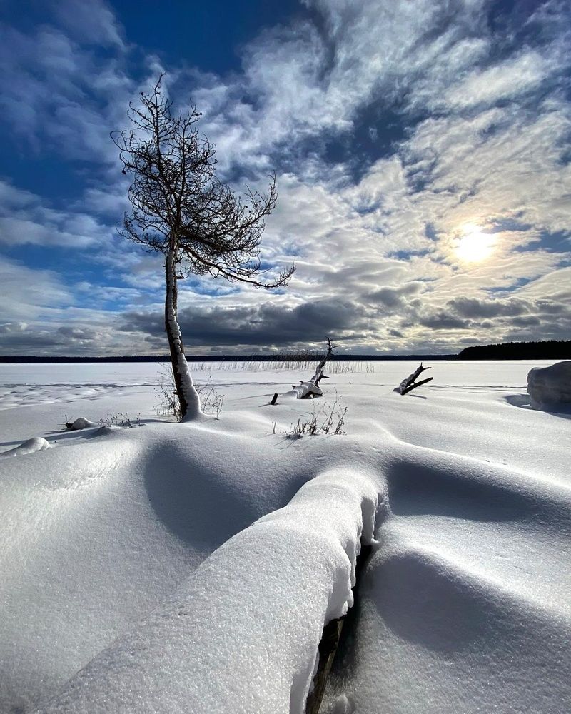 Photograph by Анатолий Андреев