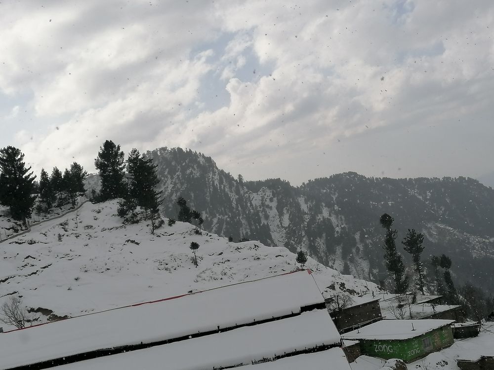 Photograph by Nauman