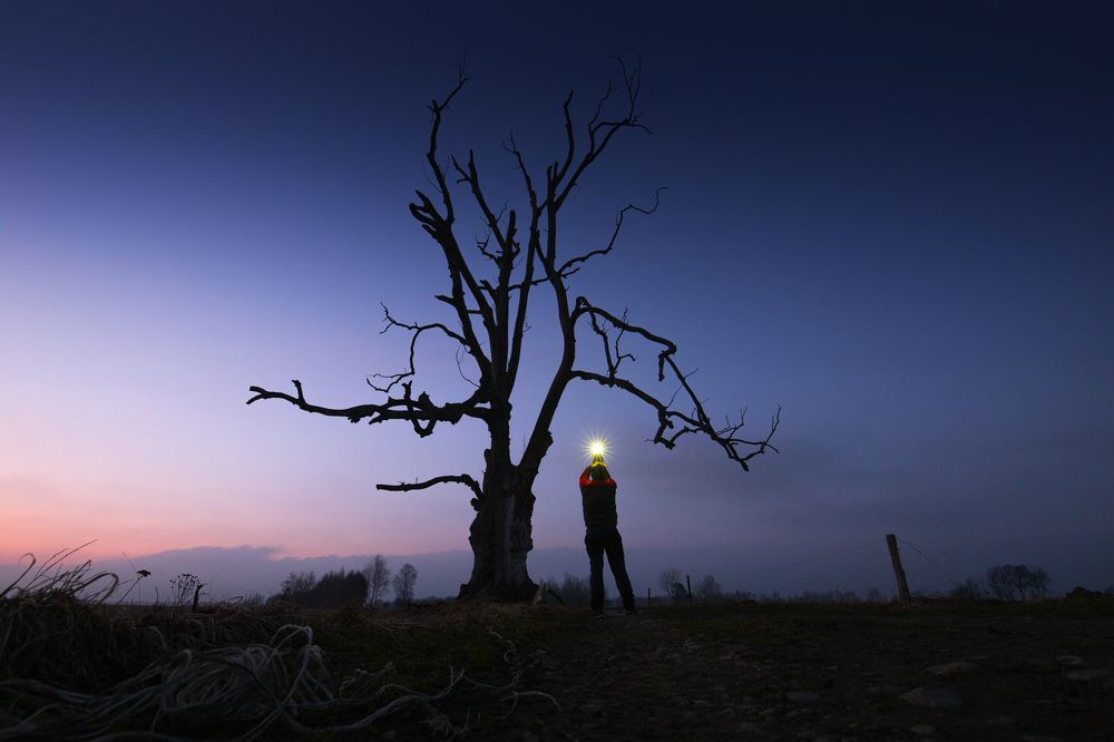 Photograph by Józef Tylka