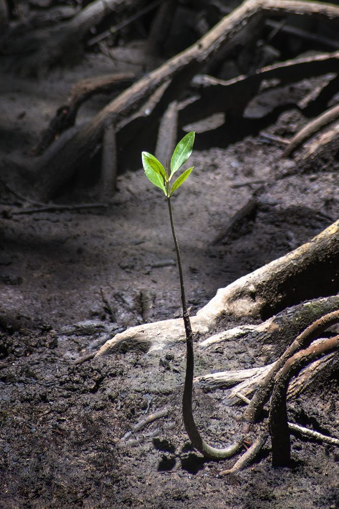 Photograph by Андрей Ковалев
