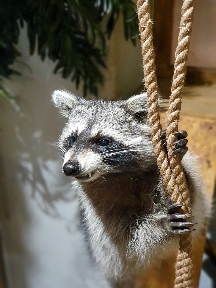 Photograph by Анна