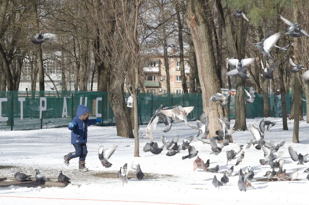 Photograph by Башлаев Константин