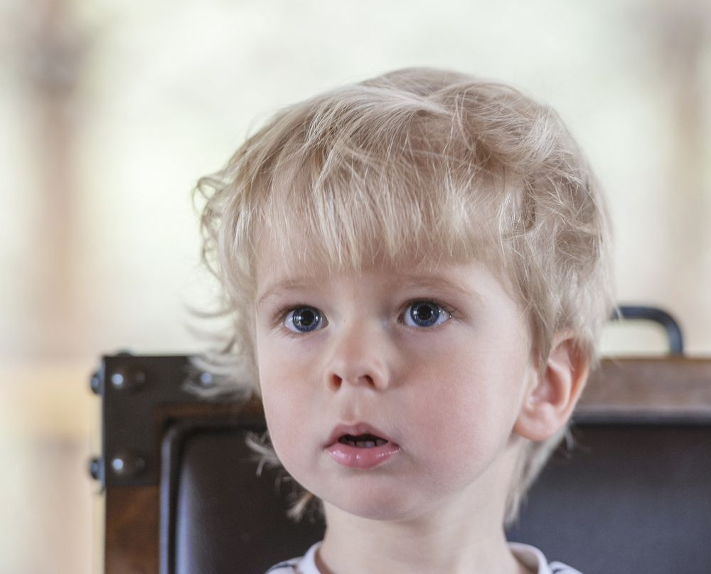 Несколько дней из жизни...