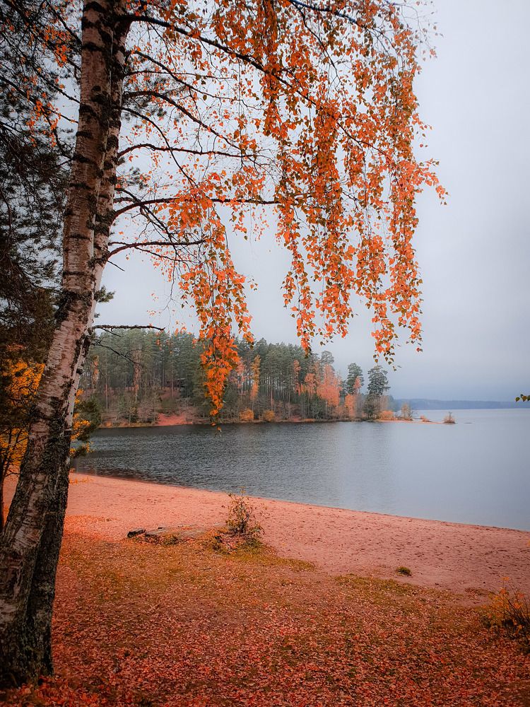 Осень на озере.