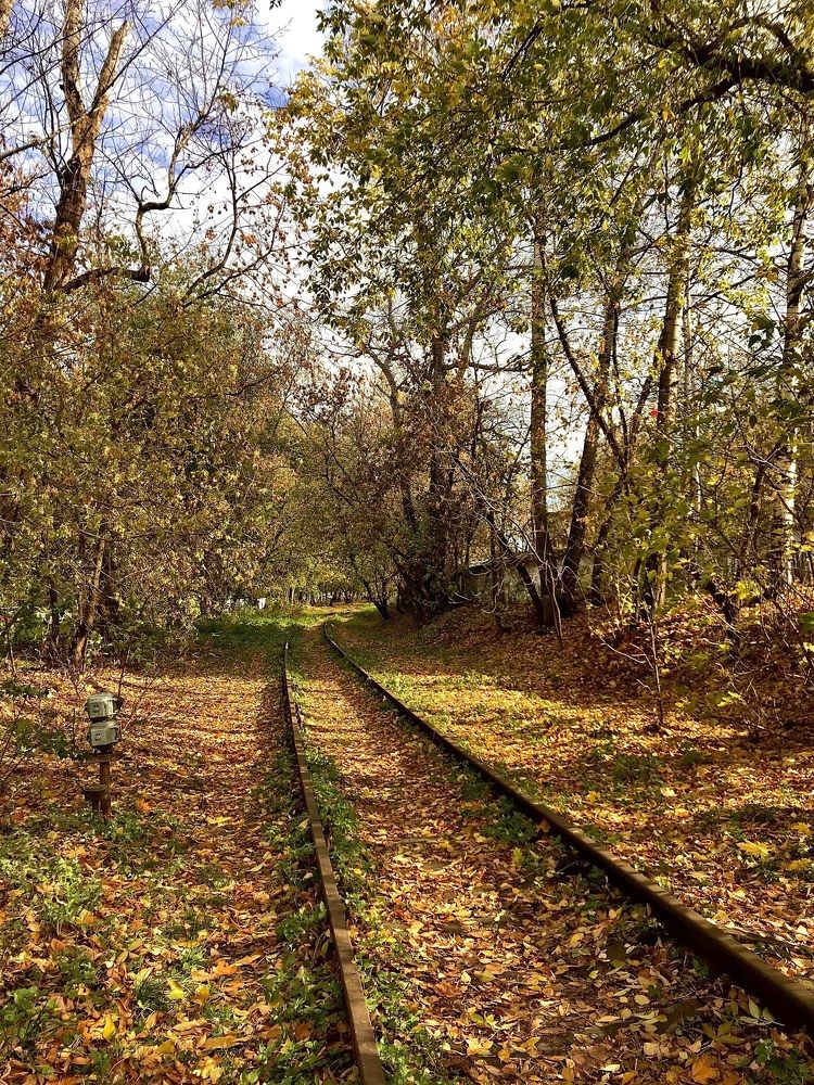 Photograph by Светлана Богомолова