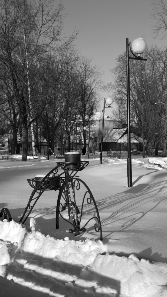 Велоклумба зимой