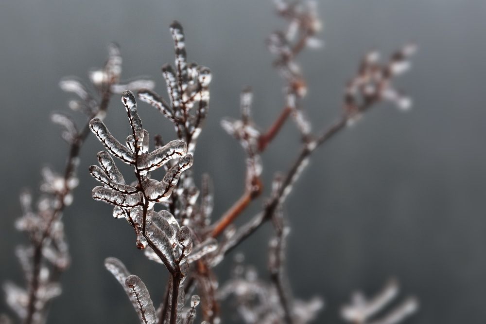 Фотография автора Marius Forgaciu