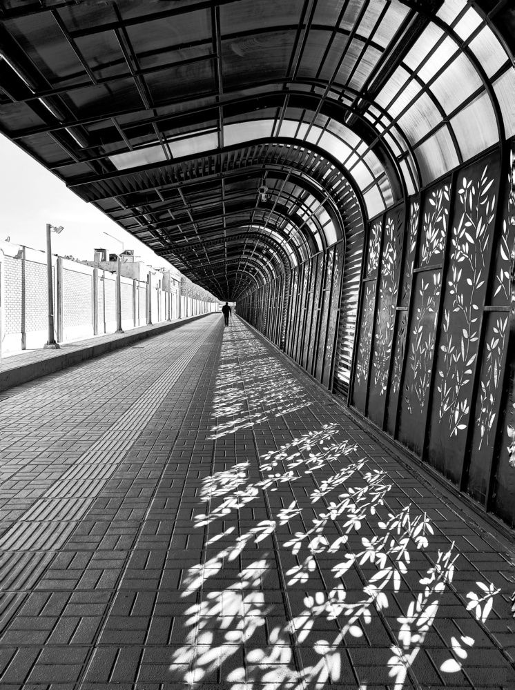 Photograph by Neda Kazemifard