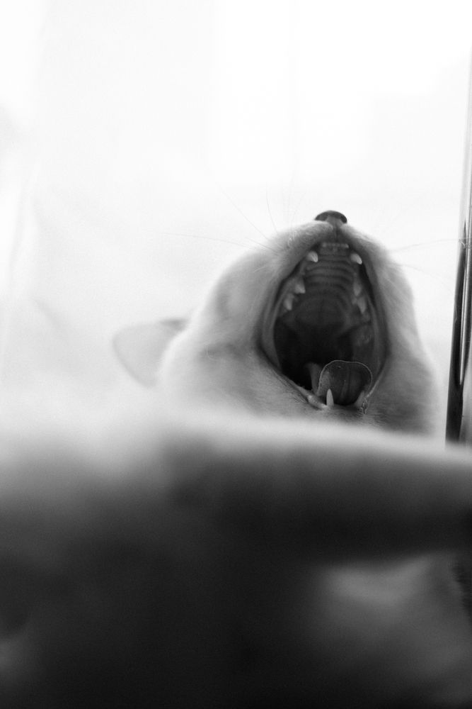 Photograph by Арина Сучкова