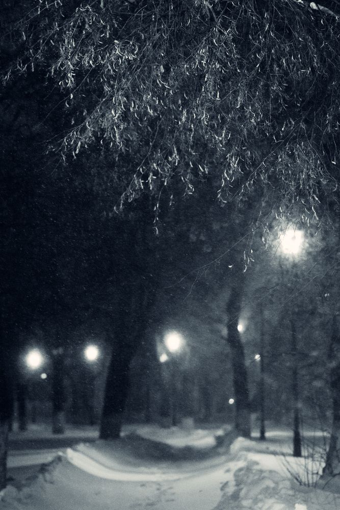 Photograph by Арина Сучкова