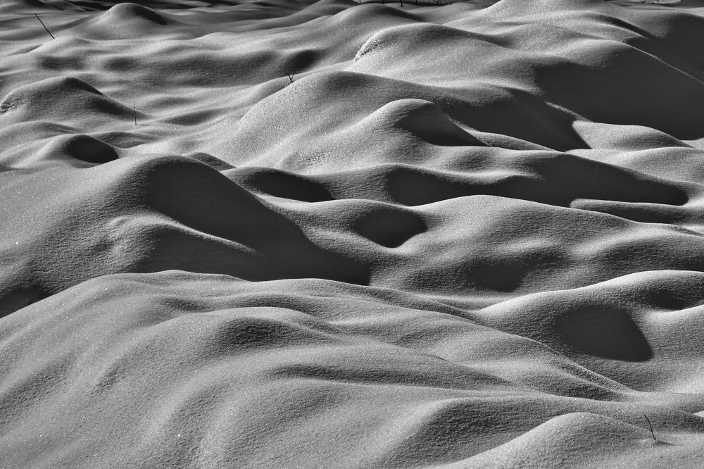 Фотография автора Marius Forgaciu