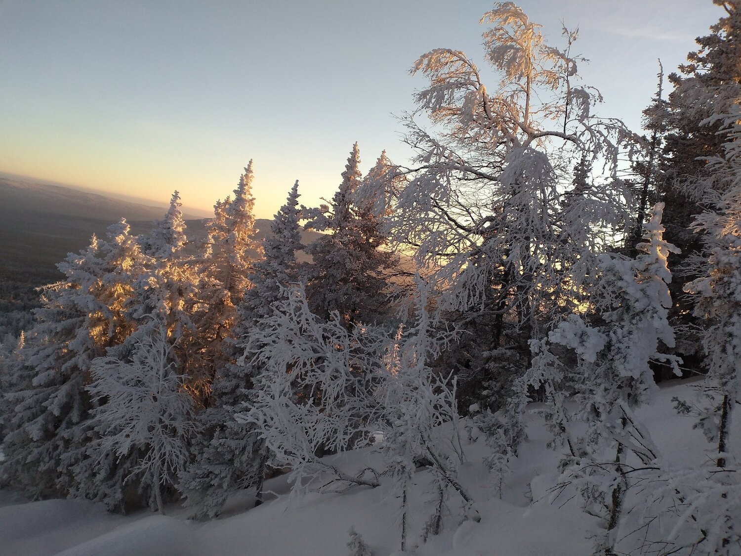 Photo #5763490