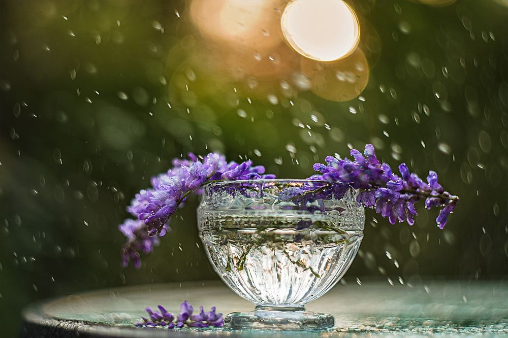 Photograph by Татьяна Александрова