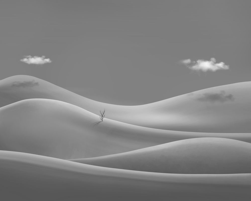 Фотография автора mehrdad Alizadeh