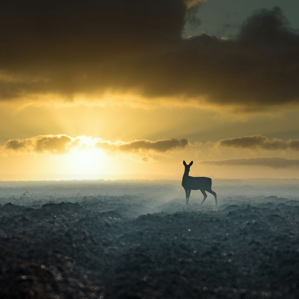 Photograph by Dejan Valek