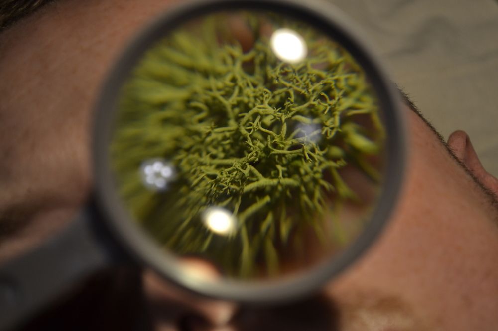 Photograph by Jozsef Cselenyi