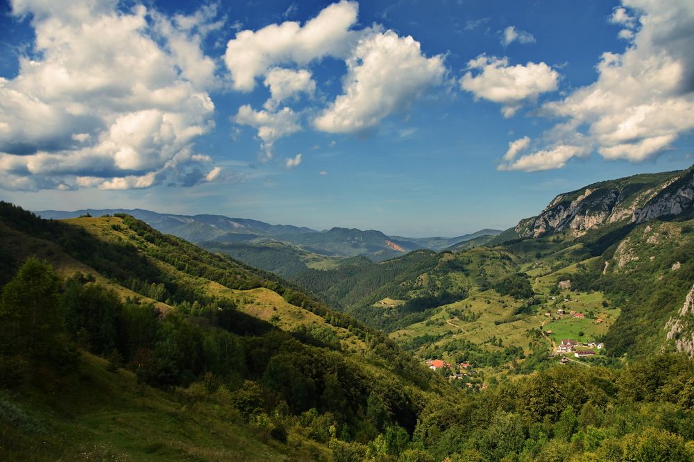 Фотография автора Marius Forgaciu