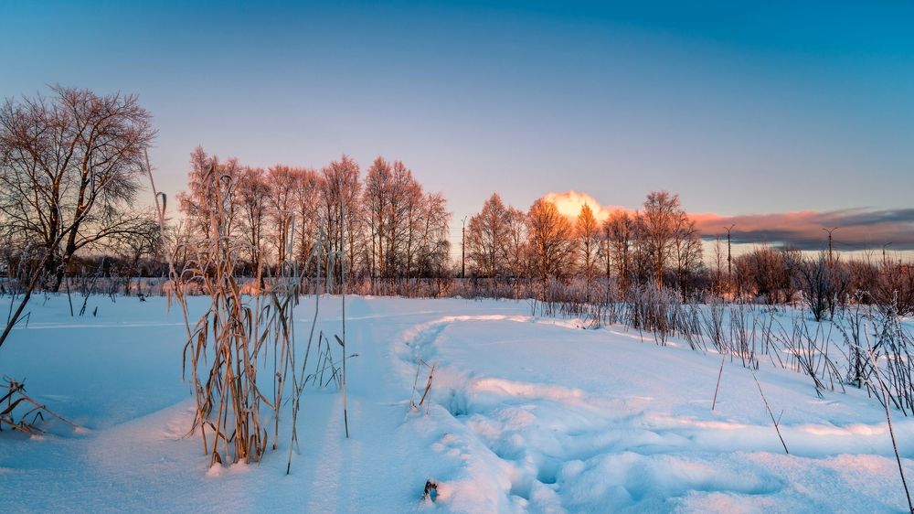 Photograph by Александр Титов