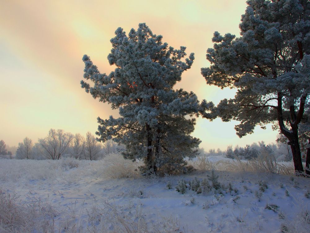 Photograph by Сергей Пупков