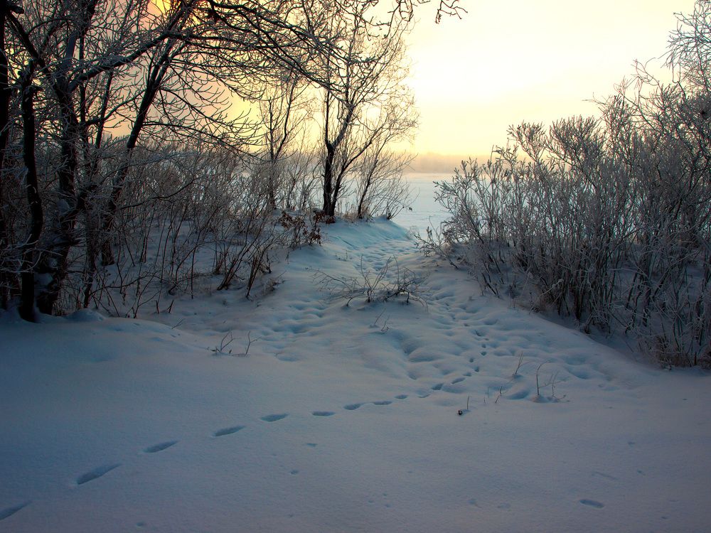 Photograph by Сергей Пупков