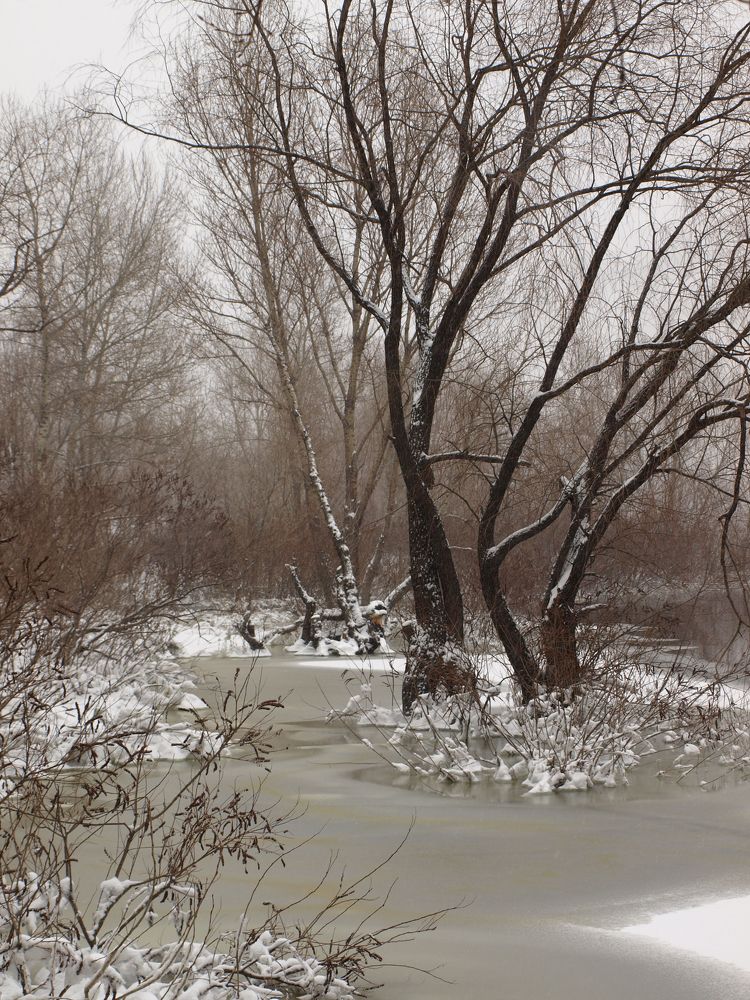 Photograph by Сергей Пупков