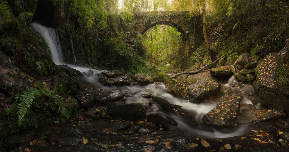 Photograph by Julio Castro Pardo