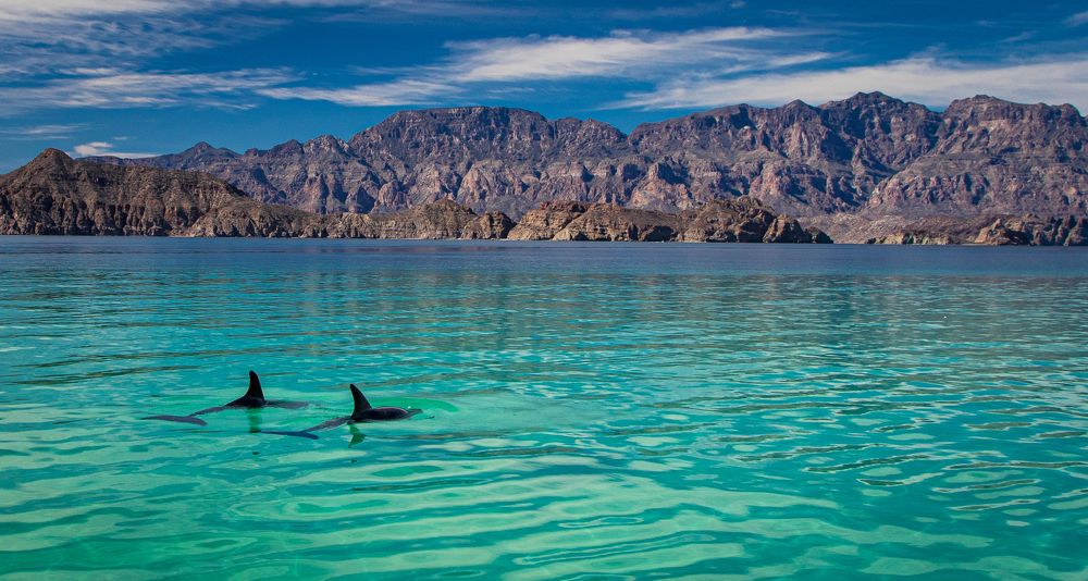 Photograph by Bill Phelps