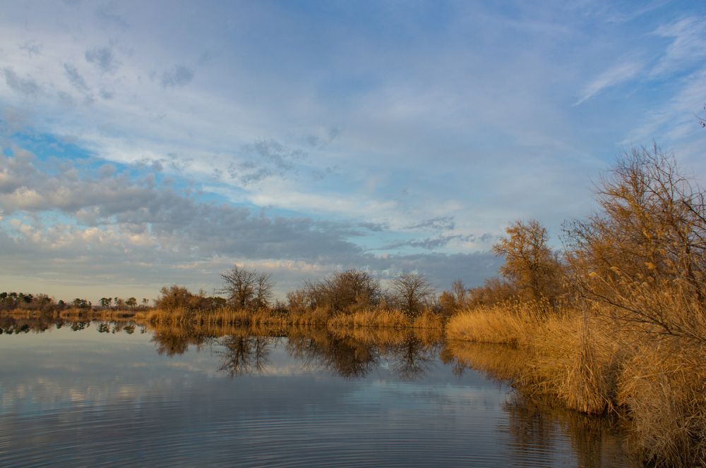 Photograph by Наталья Подмогильная