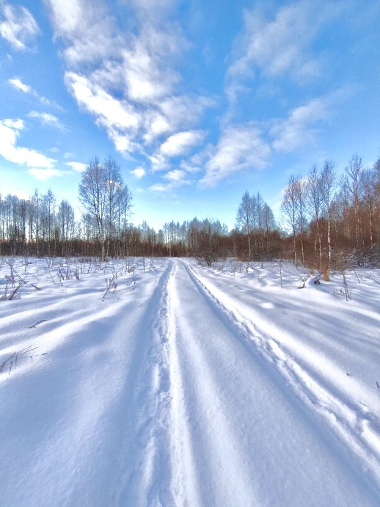 Photograph by Светлана Богомолова