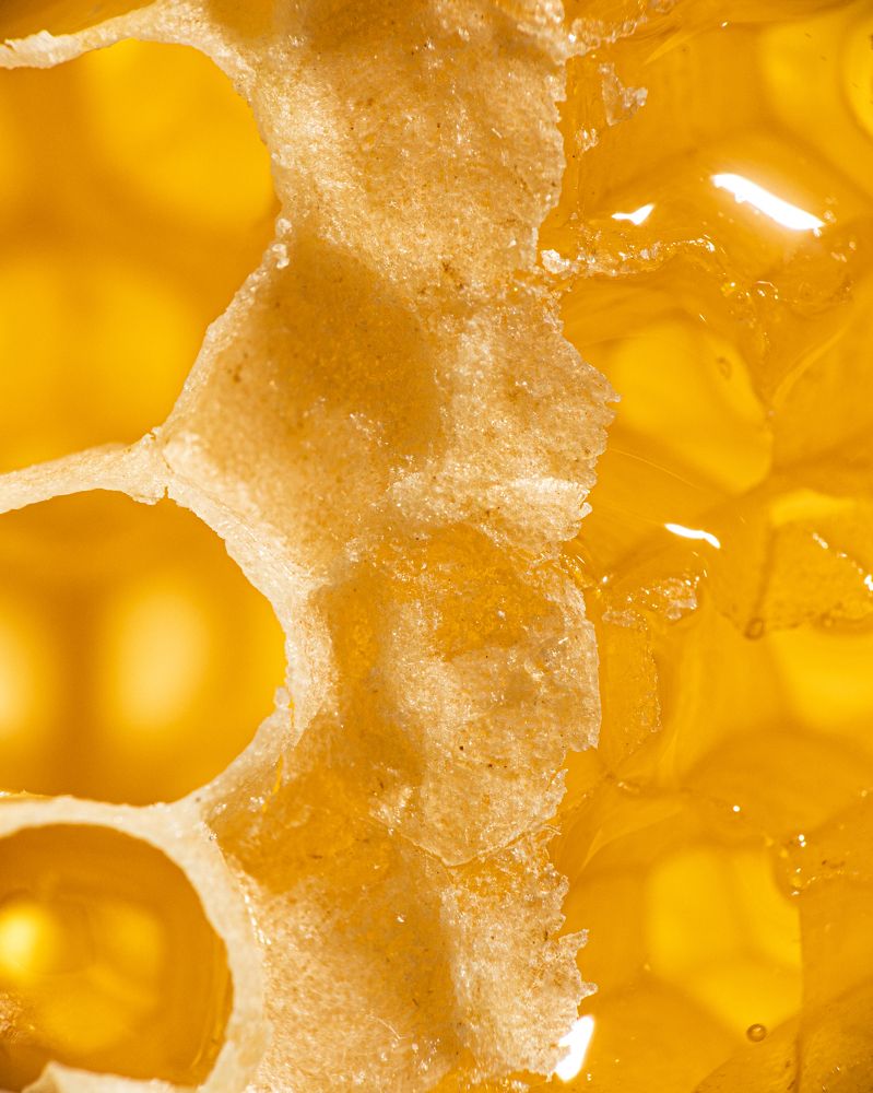 Photograph by Konstantin Morozov