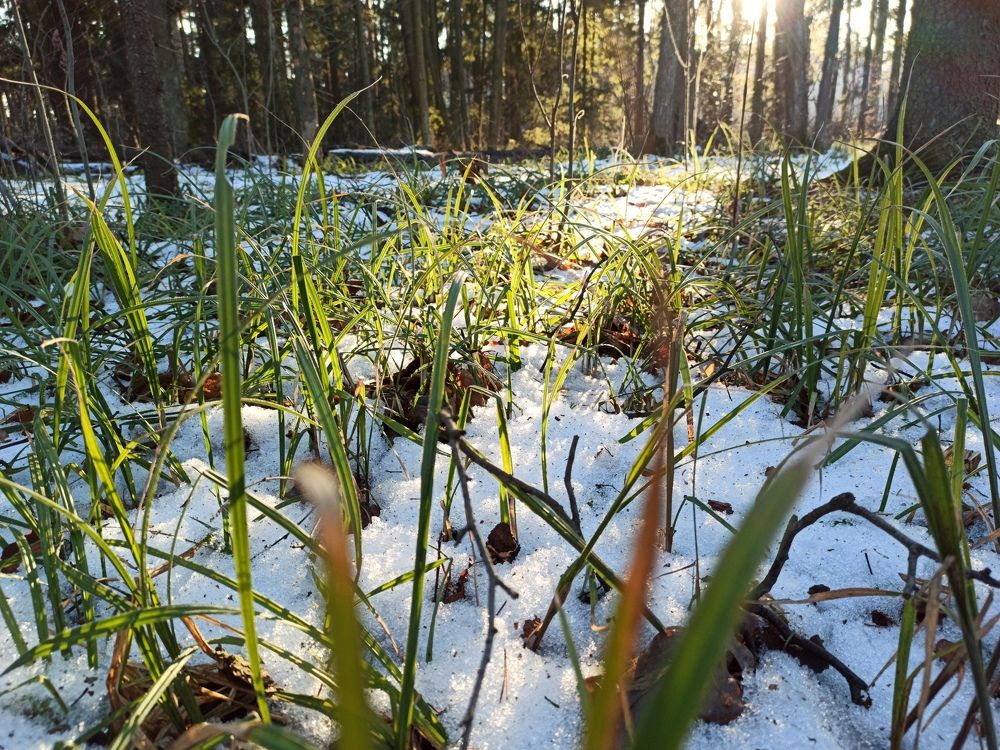 Photograph by Илья Воякин