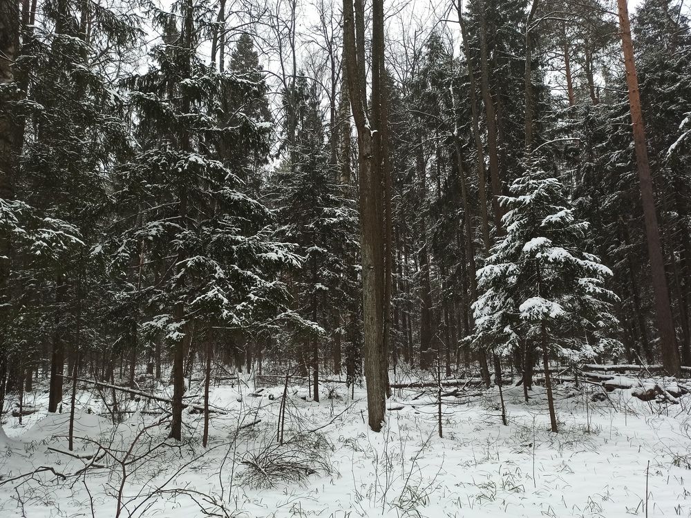 Photograph by Илья Воякин