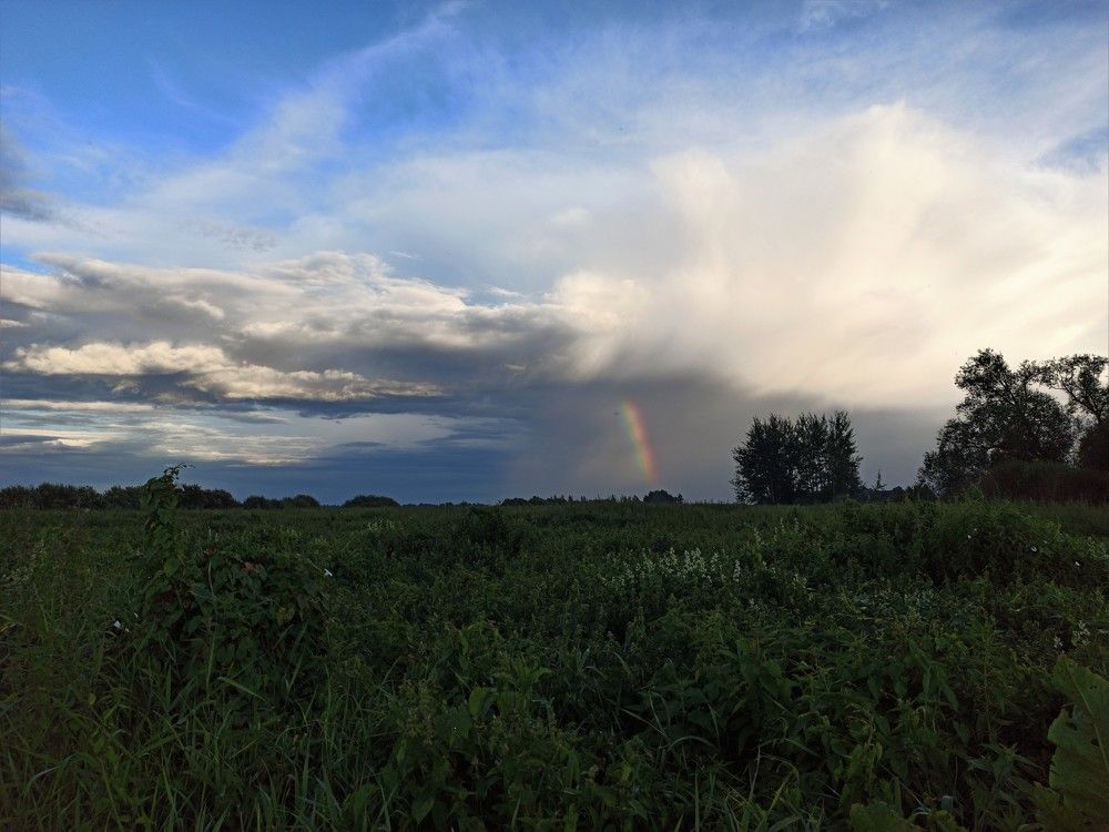 Photograph by Илья Воякин