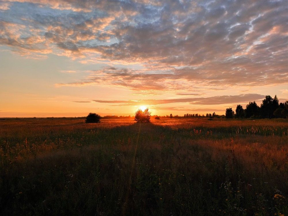 Photograph by Илья Воякин