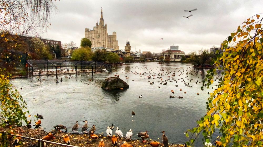 Photograph by Светлана Поляничева