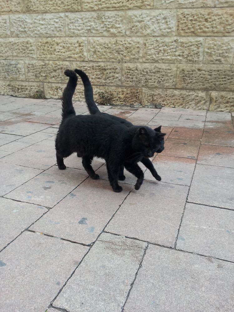 Photograph by Оксана Макарова