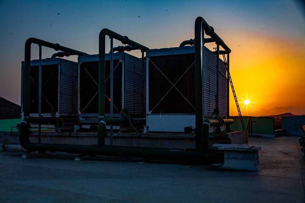 Photograph by Claimant Alexander Look