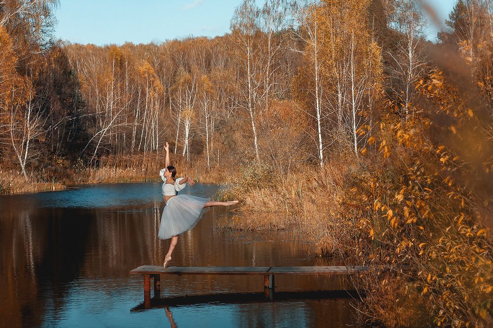 Белая лебедь