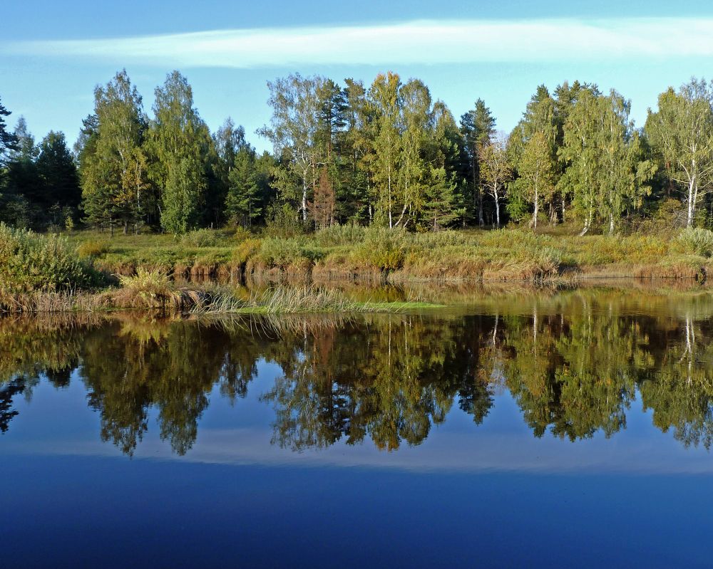 Река Медведица.