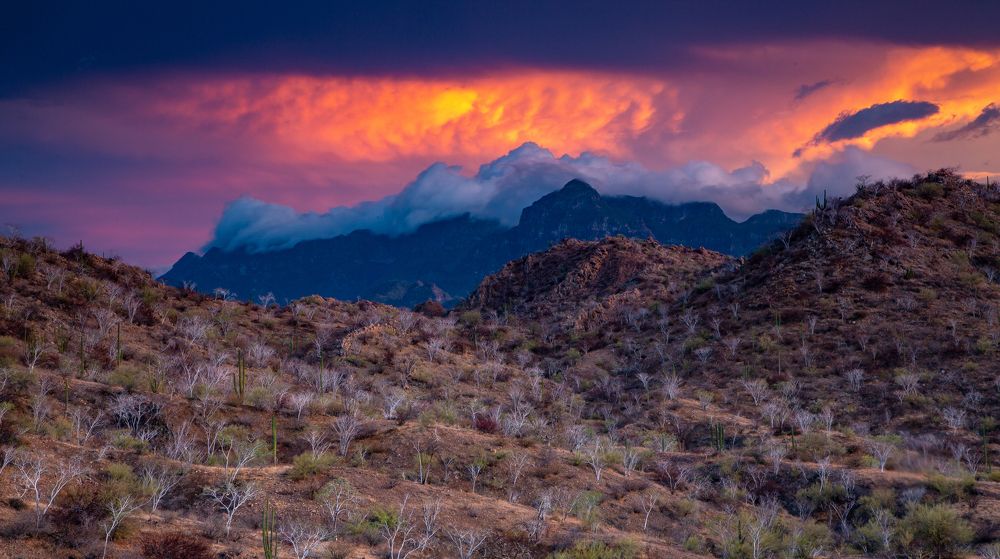 Photograph by Bill Phelps