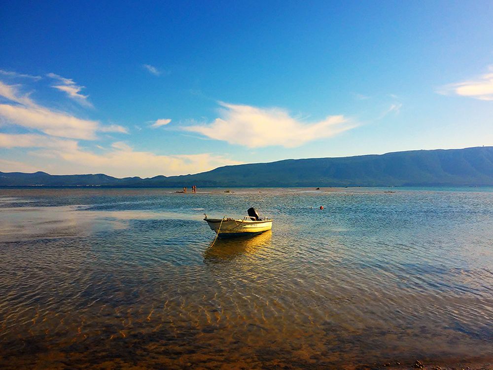 The last Delta in Europe