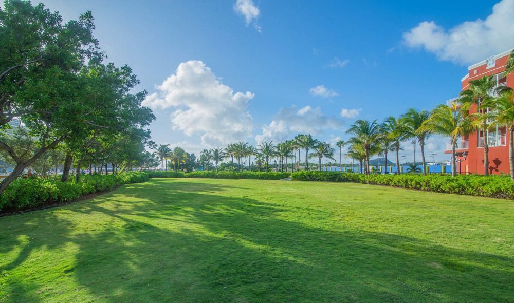 Photograph by Claimant Alexander Look